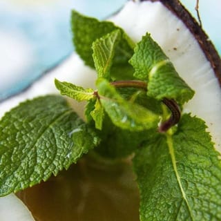 Coconut Mint Tea