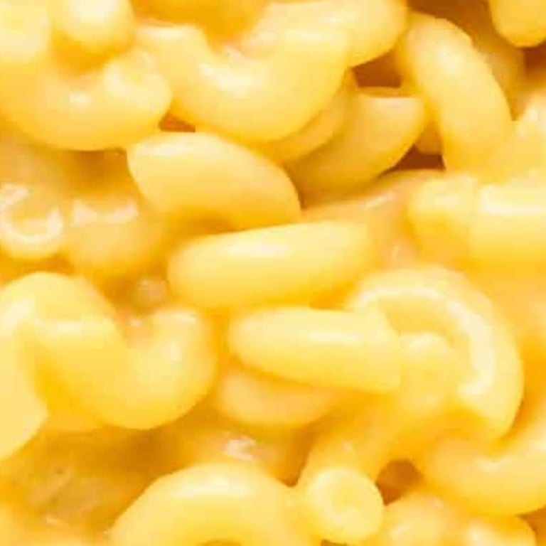 Delicious Mac and Cheese Options